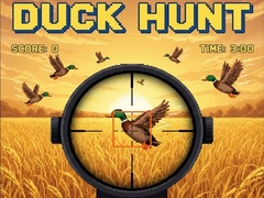 खेल Duck Hunt