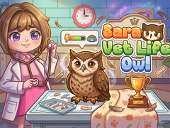 खेल Sara Vet Life Ep14: Owl