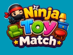 खेल Ninja Toy Match