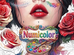 గేమ్ Numicolor