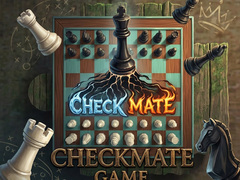గేమ్ Checkmate Game