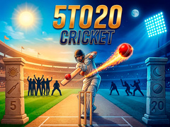 खेल 5TO20 Cricket