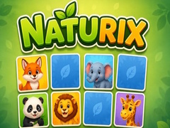 ಗೇಮ್ Naturix