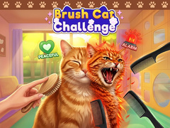 ಗೇಮ್ Brush Cat Challenge 