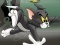 खेल Tom And Jerry Chase In Marsh