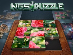 खेल NGS Puzzle