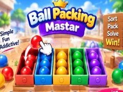 ગેમ Packing Master Puzzle