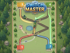 ಗೇಮ್ Switch Master