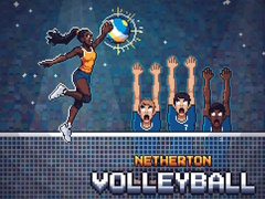 ಗೇಮ್ Netherton Volleyball