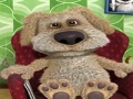 खेल Talking Ben the Dog