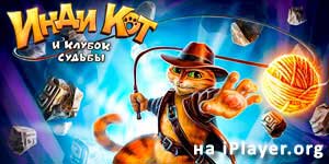 इंडी बिल्ली