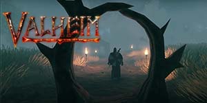 वाल्हेम 