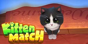 बिल्ली का बच्चा मैच 