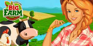 बिग फार्म 