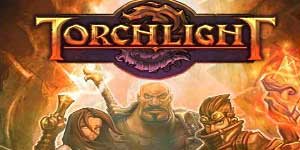 मशाल की रोशनी 