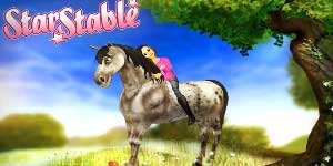 स्थिर तारा 